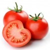 百人寨新鲜西红柿 番茄2500g无农药绿色蔬菜